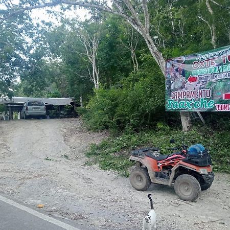 Campamento Yaax Che en Calakmul Conhuas Buitenkant foto