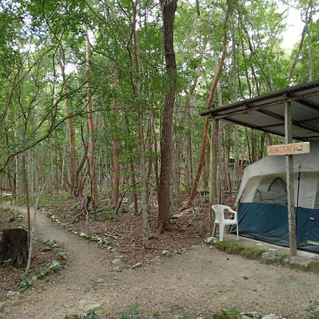 Campamento Yaax Che en Calakmul Conhuas Buitenkant foto