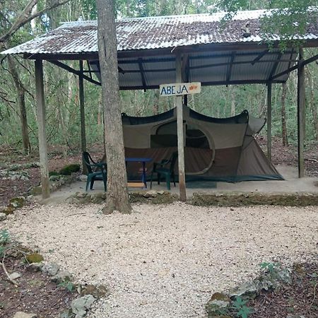 Campamento Yaax Che en Calakmul Conhuas Buitenkant foto