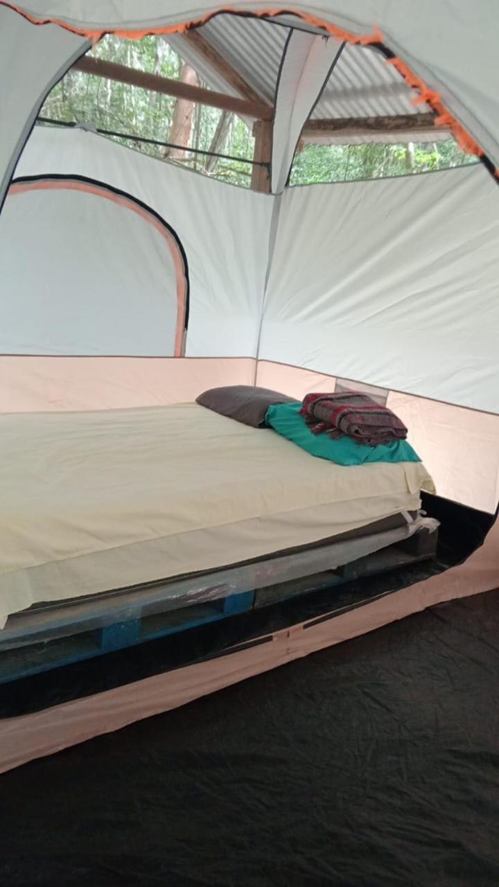 Campamento Yaax Che en Calakmul Conhuas Kamer foto