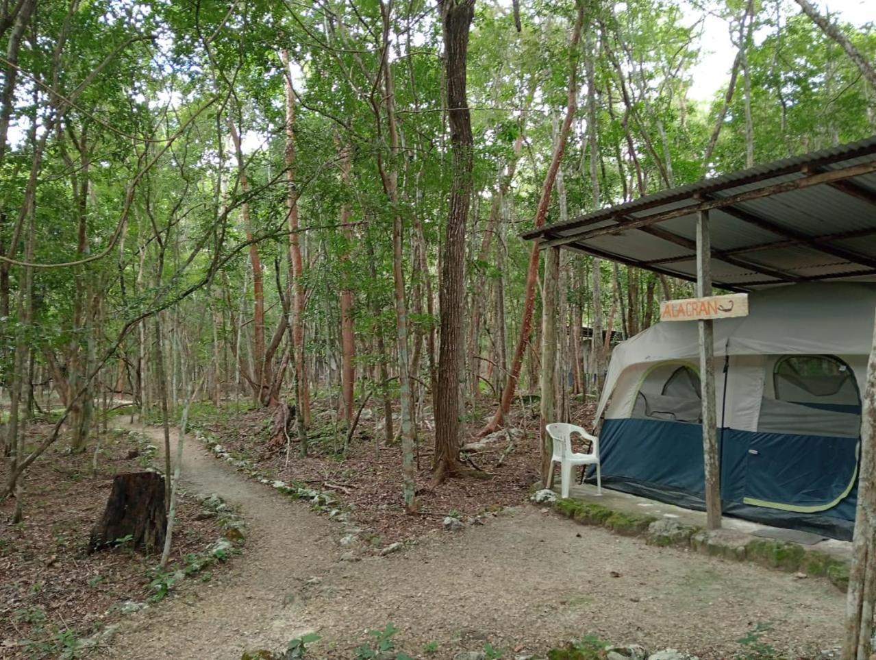 Campamento Yaax Che en Calakmul Conhuas Buitenkant foto