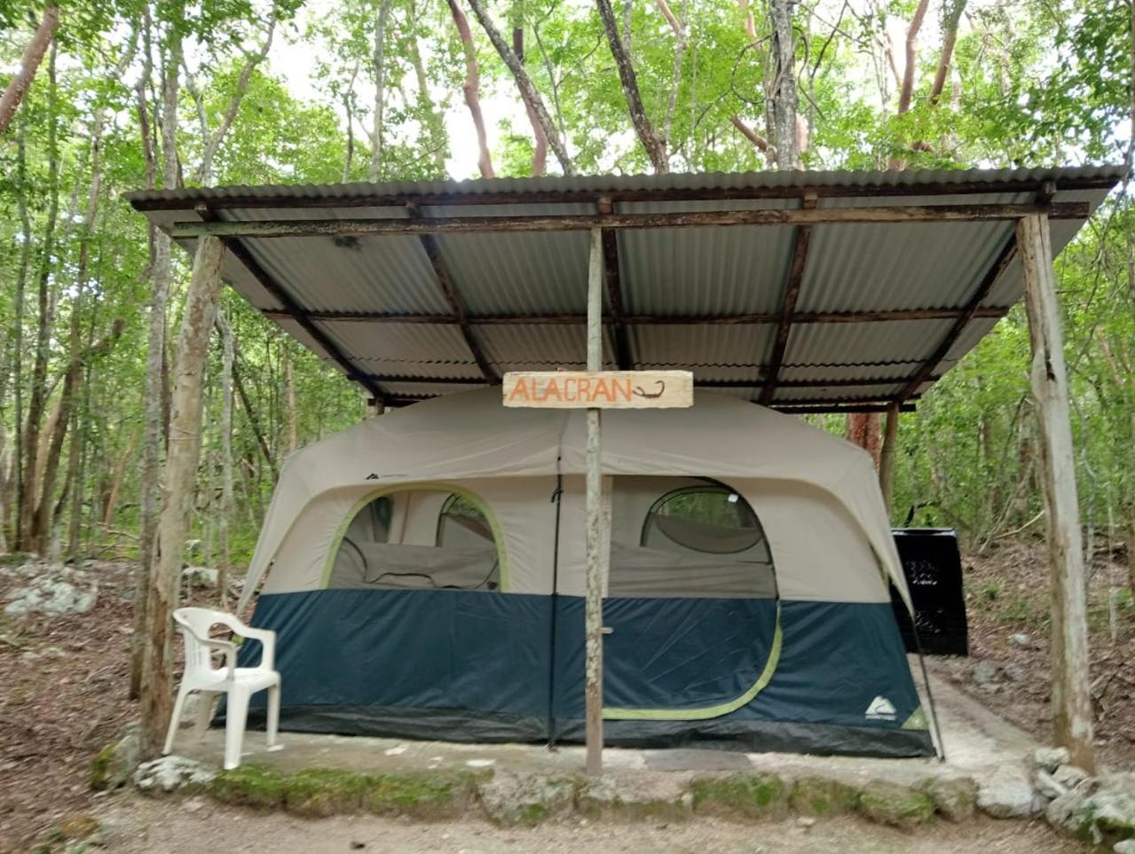 Campamento Yaax Che en Calakmul Conhuas Kamer foto