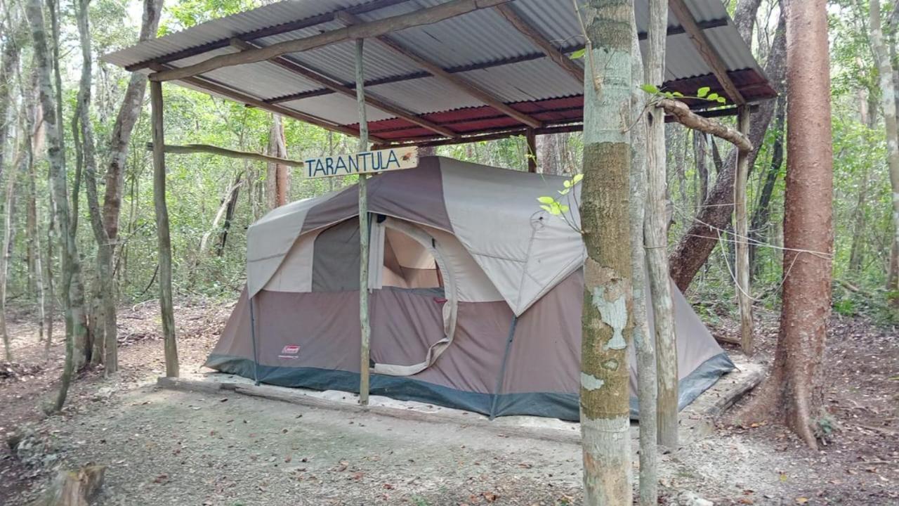 Campamento Yaax Che en Calakmul Conhuas Kamer foto
