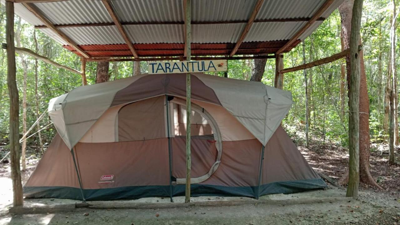 Campamento Yaax Che en Calakmul Conhuas Kamer foto