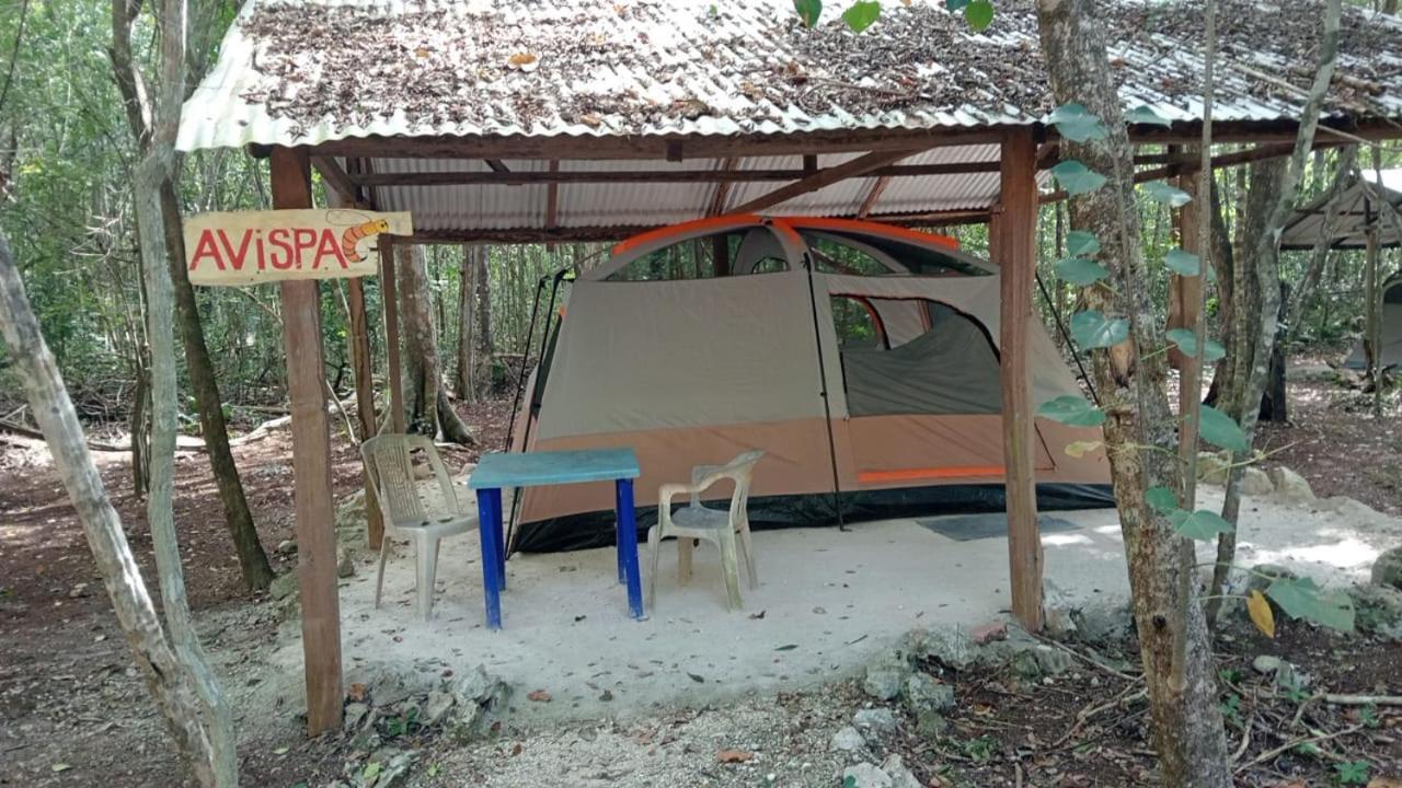 Campamento Yaax Che en Calakmul Conhuas Kamer foto