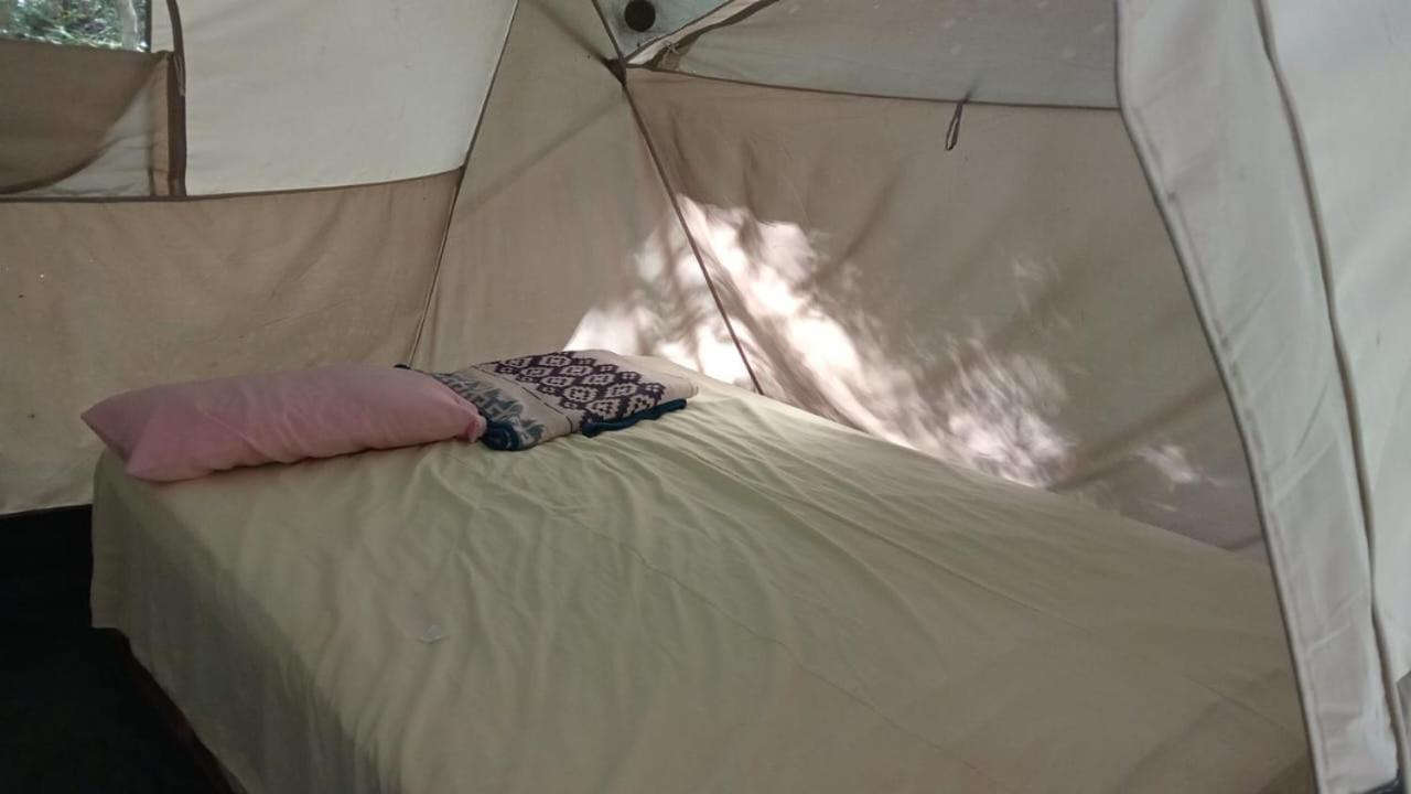 Campamento Yaax Che en Calakmul Conhuas Kamer foto