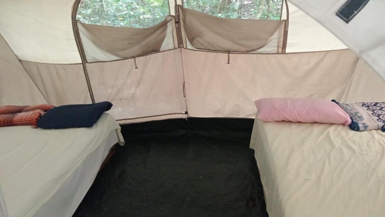 Campamento Yaax Che en Calakmul Conhuas Kamer foto