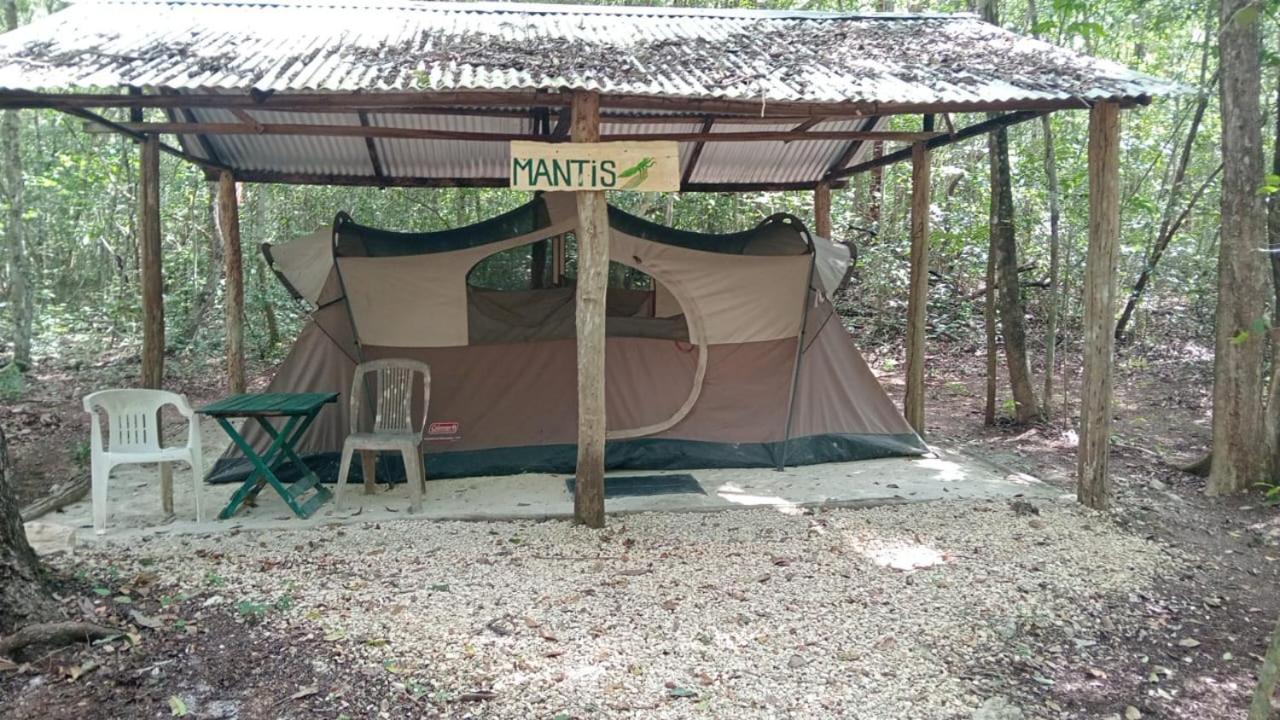 Campamento Yaax Che en Calakmul Conhuas Kamer foto