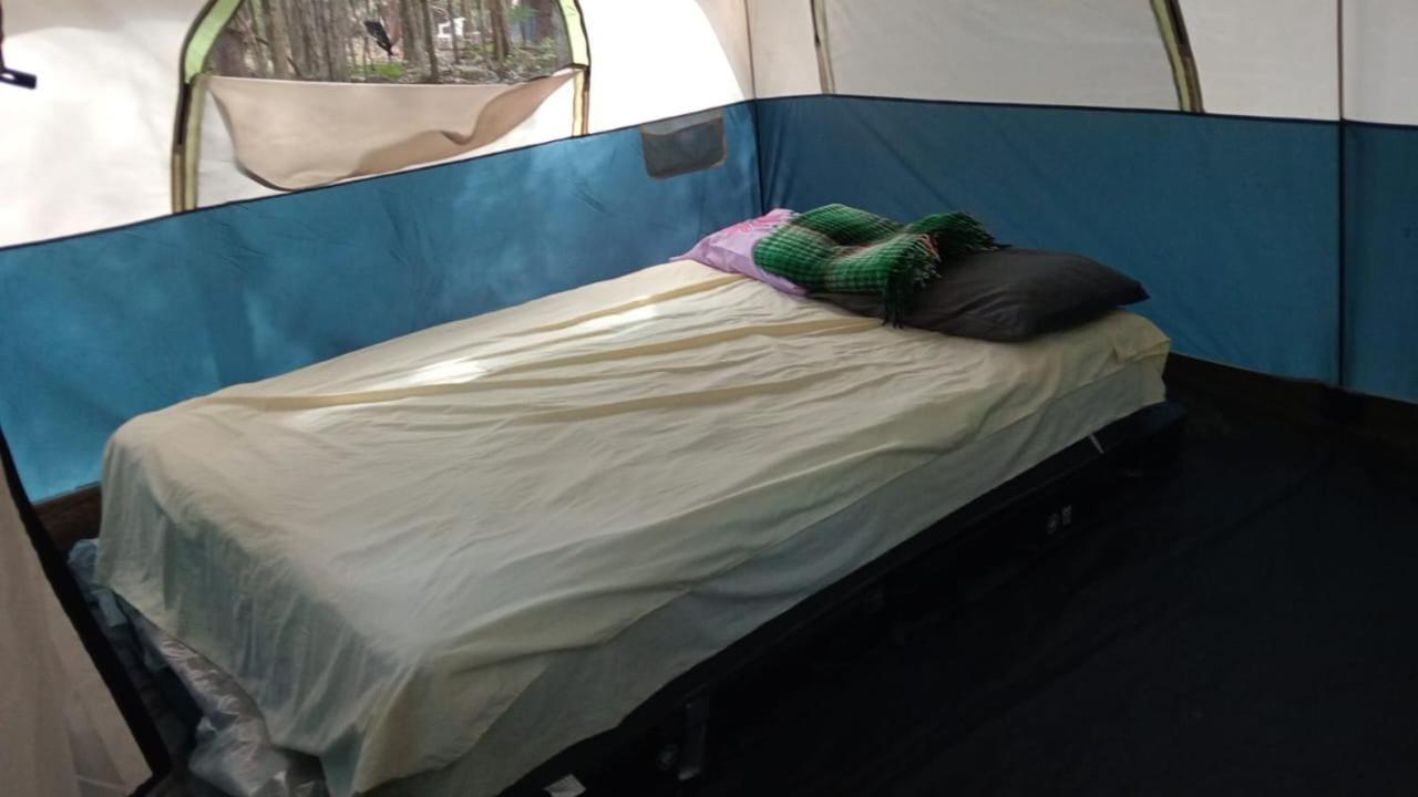Campamento Yaax Che en Calakmul Conhuas Kamer foto