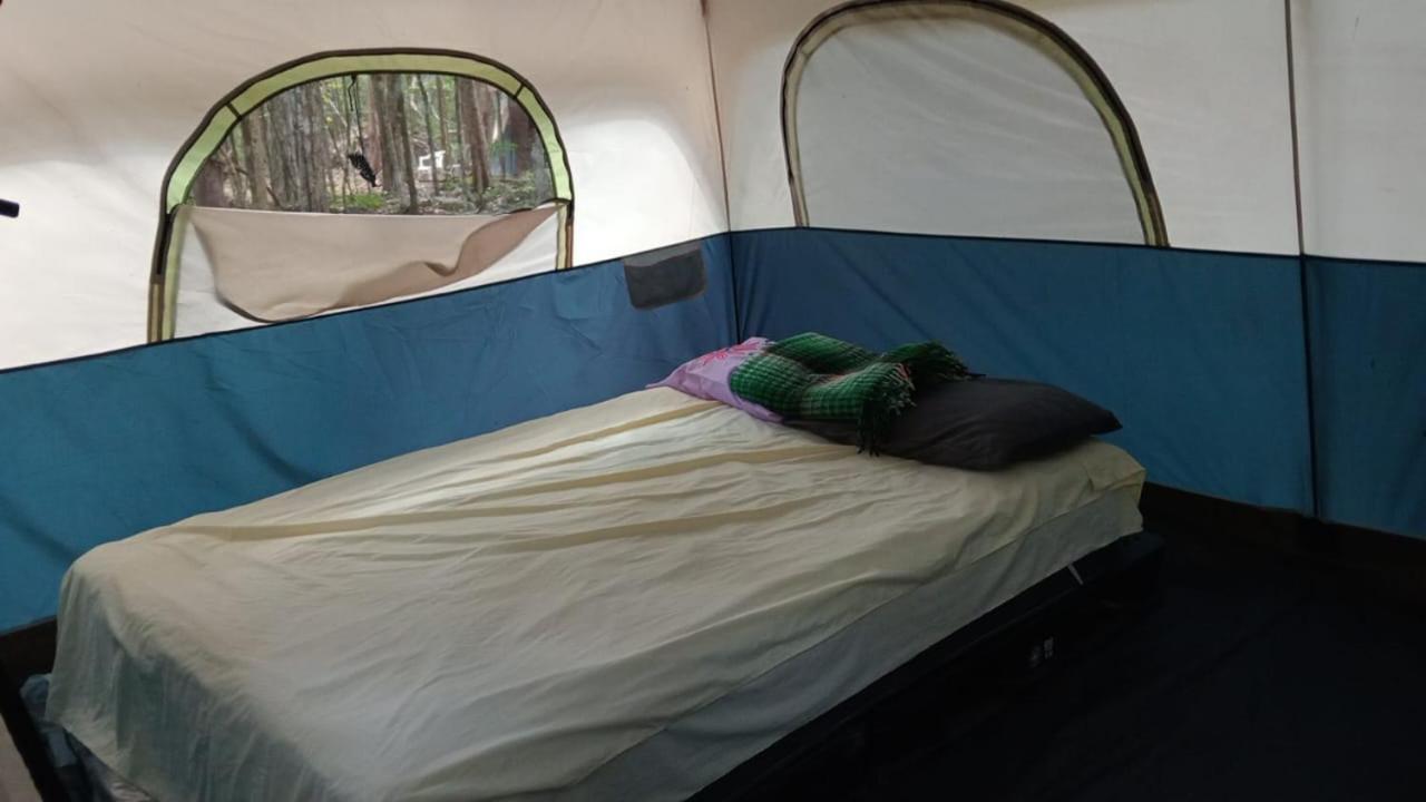 Campamento Yaax Che en Calakmul Conhuas Kamer foto