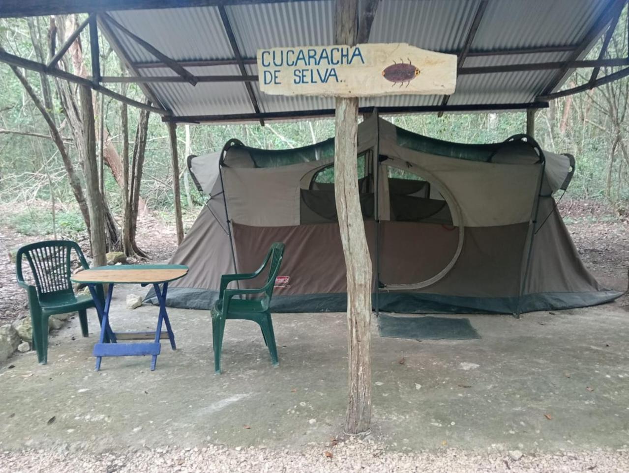 Campamento Yaax Che en Calakmul Conhuas Kamer foto