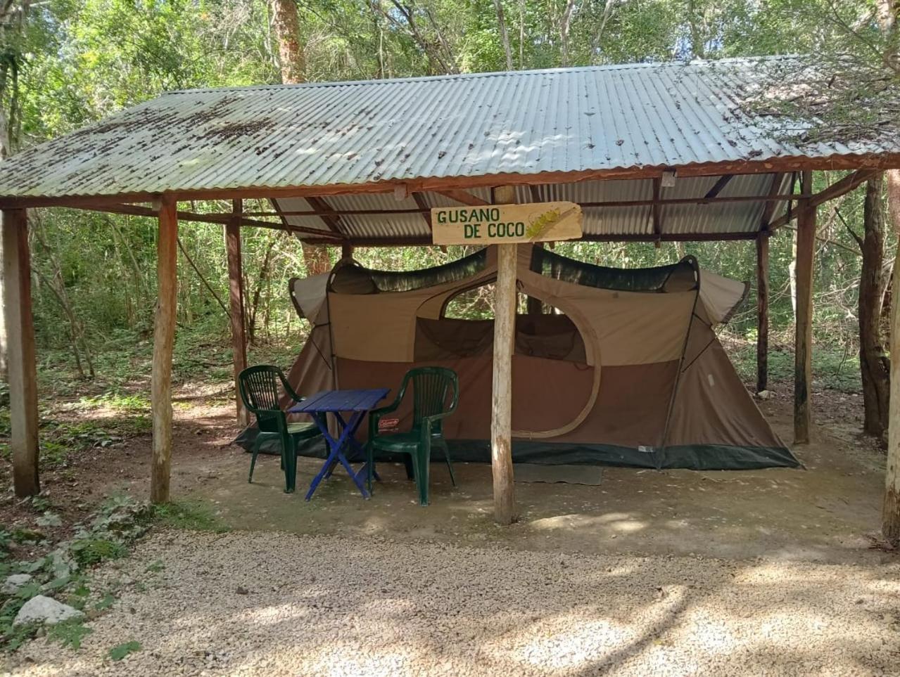 Campamento Yaax Che en Calakmul Conhuas Buitenkant foto