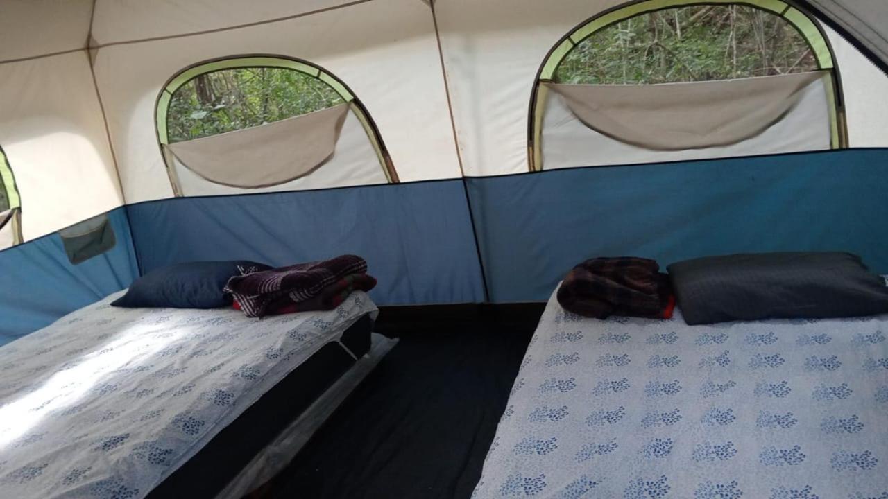 Campamento Yaax Che en Calakmul Conhuas Kamer foto