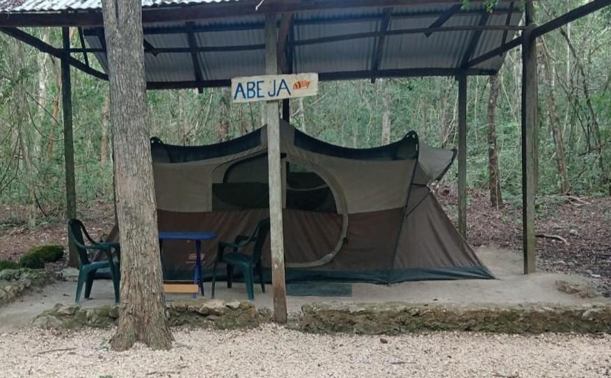 Campamento Yaax Che en Calakmul Conhuas Buitenkant foto
