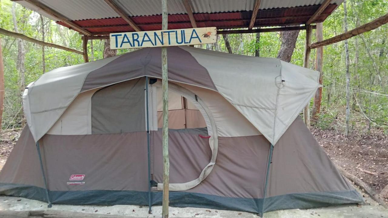 Campamento Yaax Che en Calakmul Conhuas Buitenkant foto