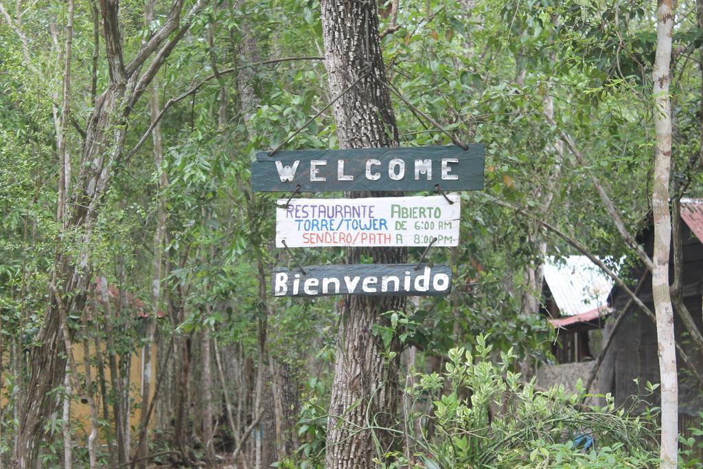 Campamento Yaax Che en Calakmul Conhuas Buitenkant foto