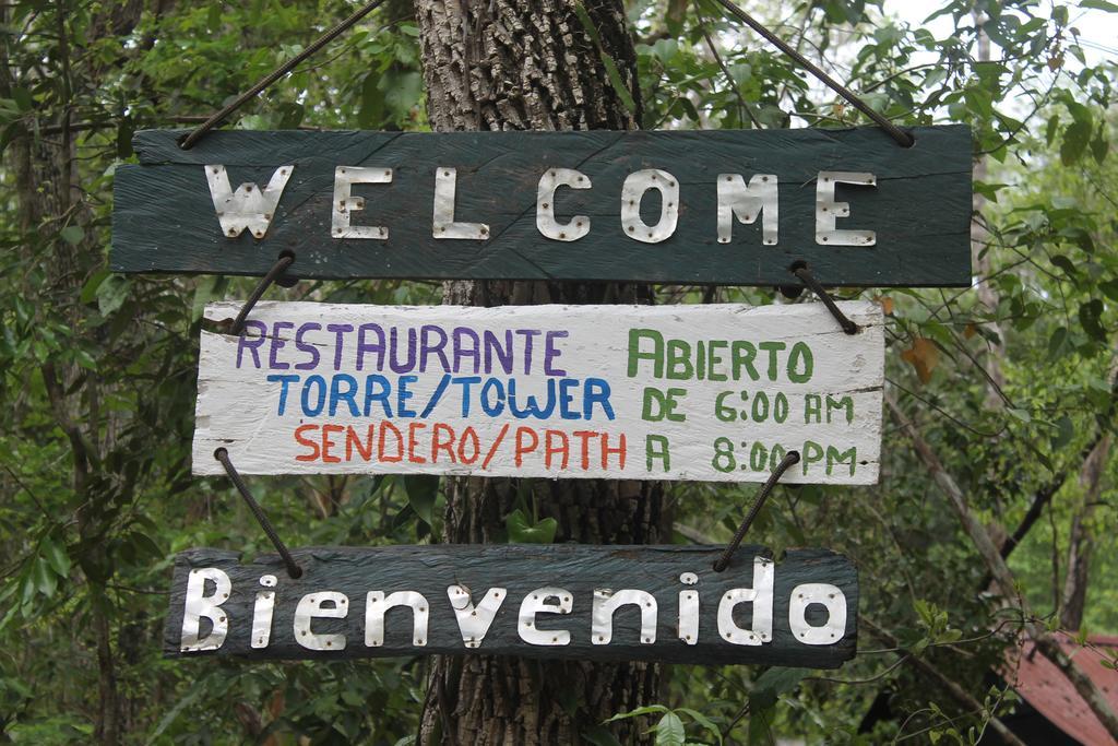 Campamento Yaax Che en Calakmul Conhuas Buitenkant foto