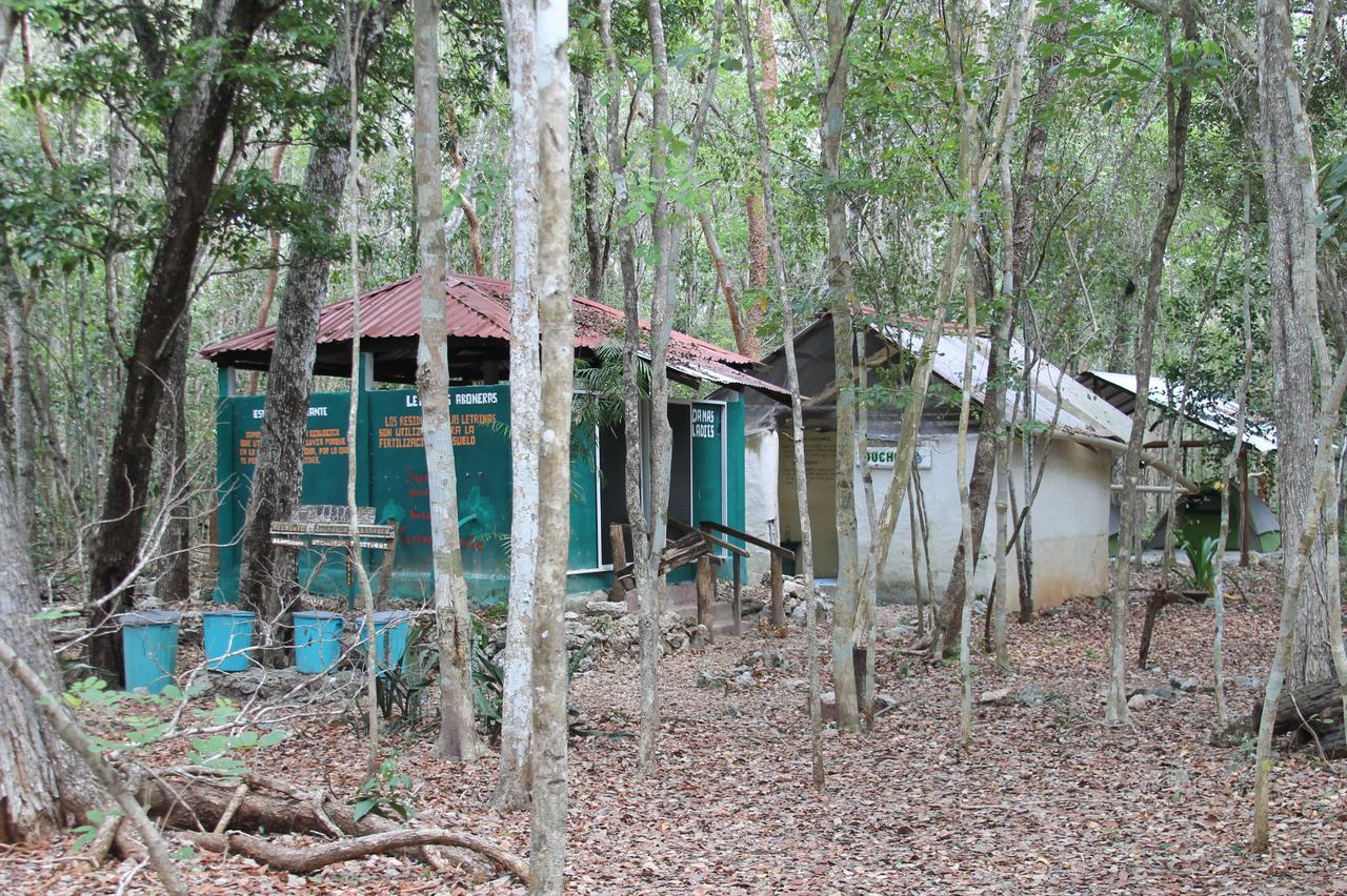 Campamento Yaax Che en Calakmul Conhuas Buitenkant foto